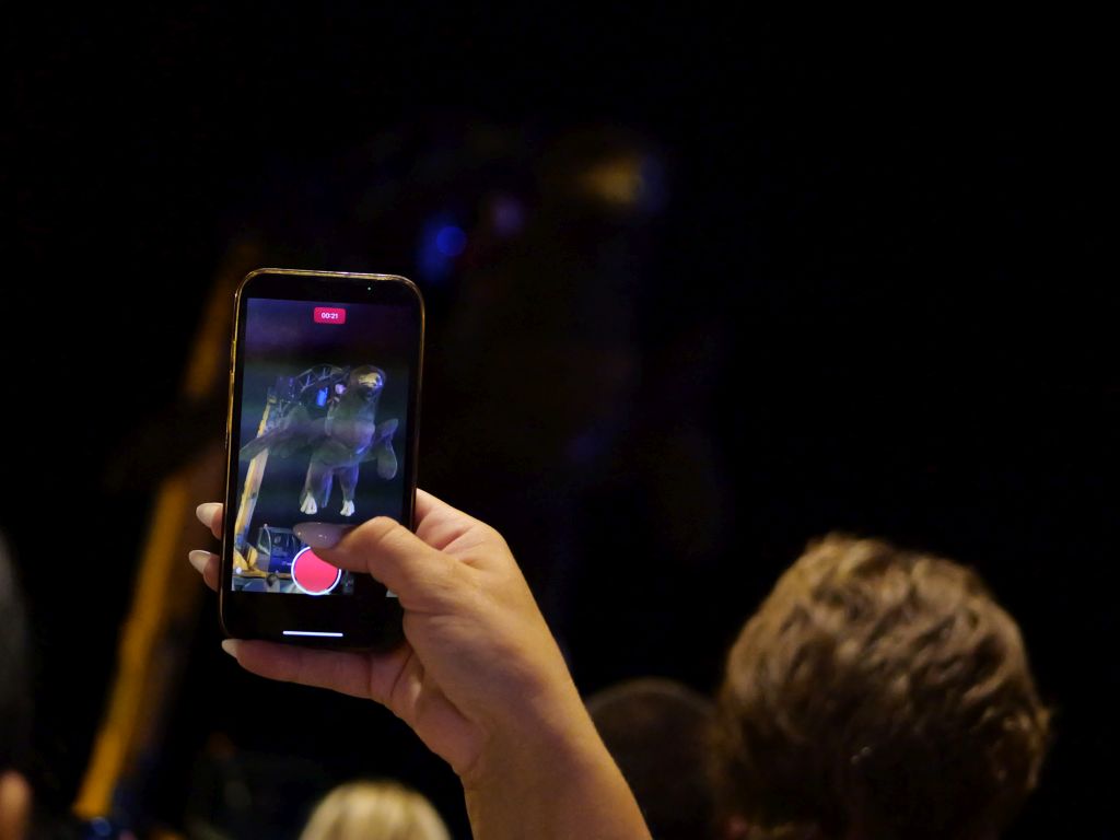 @65mdf @mdf @artcaffe